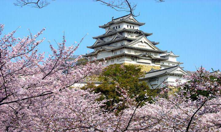 日本购房